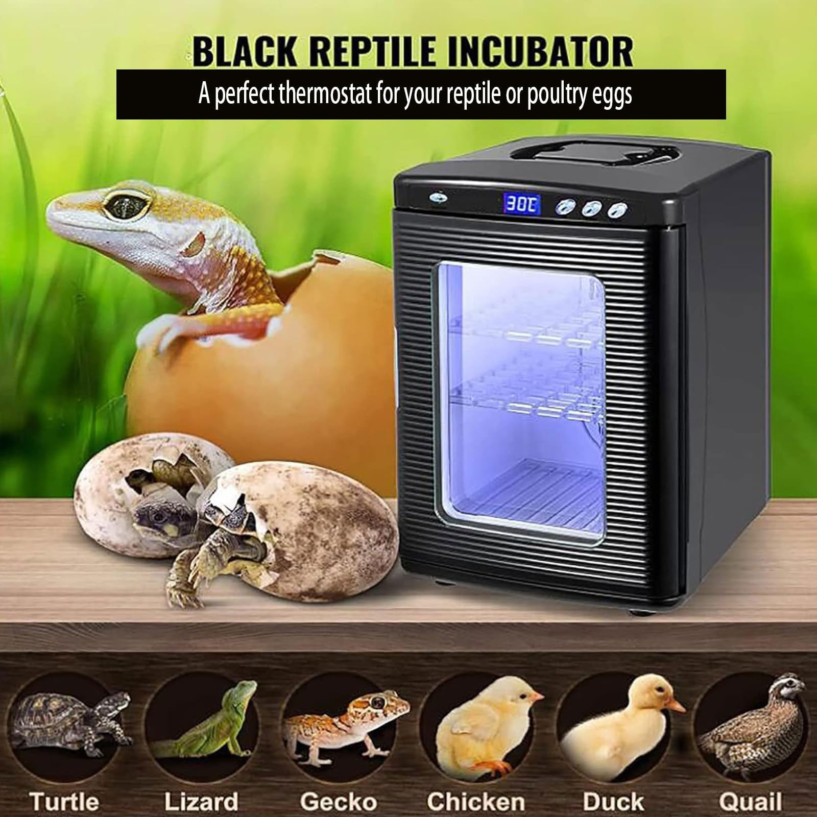 爬虫類インキュベータ冷温庫 25L Amazon.co.jp: 25L 爬虫類インキュベーター卵インキュベーター、2°C-60